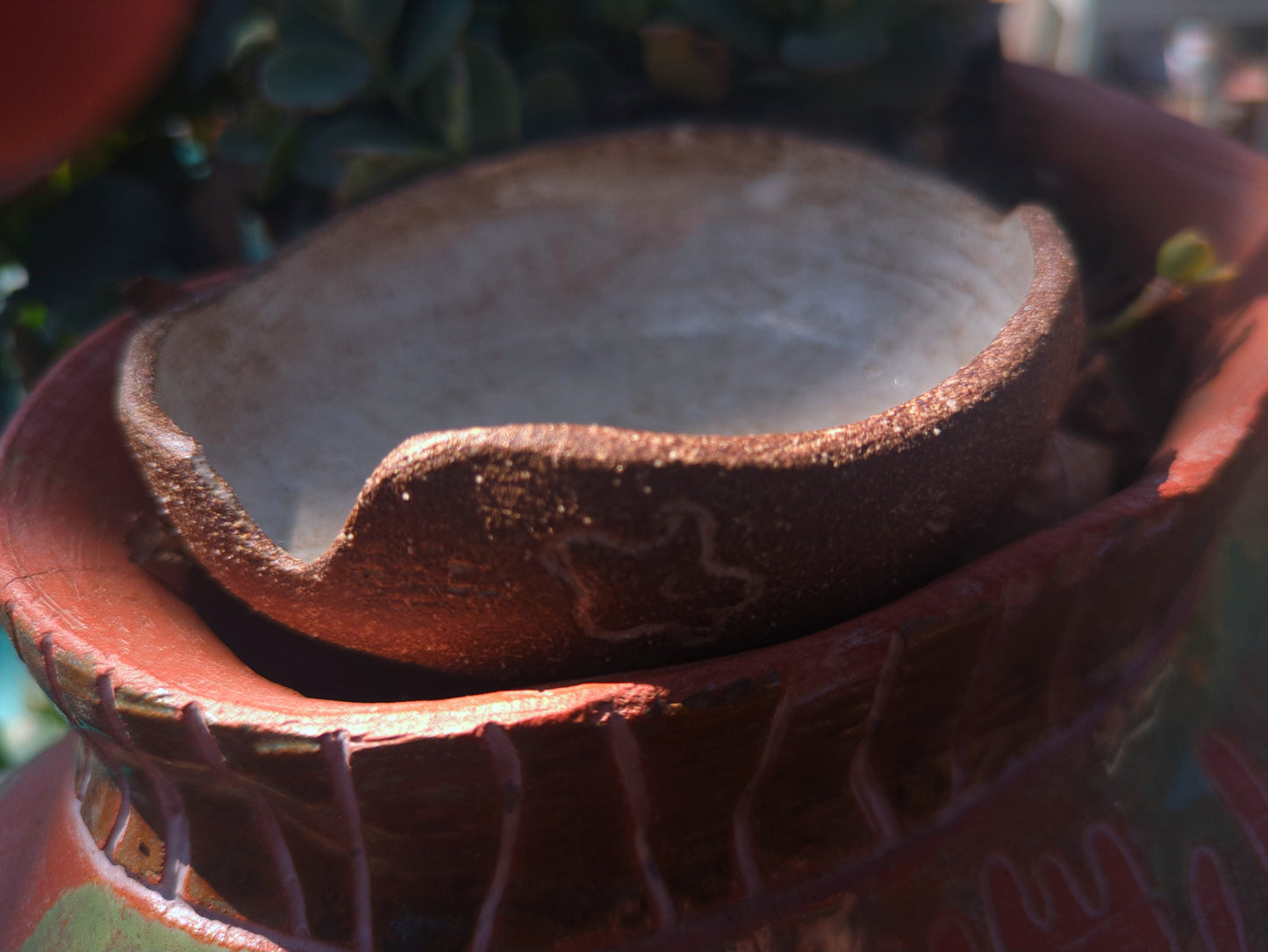 Flower berry dish