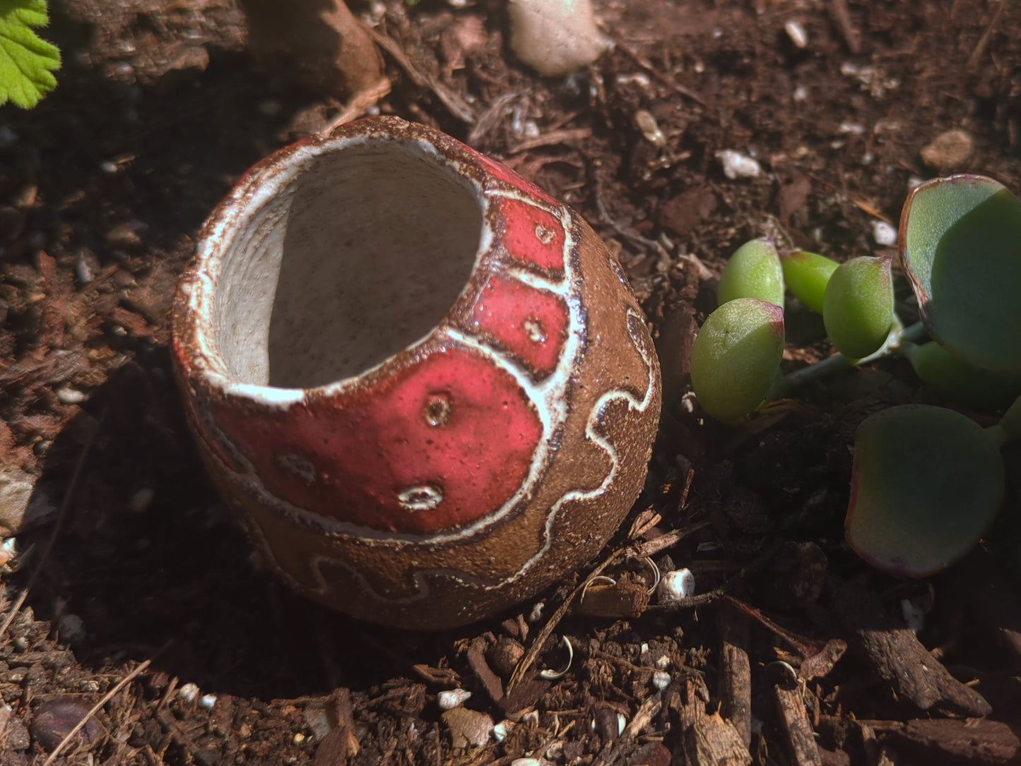 sunberry shotglass